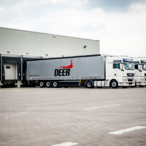 Deer - Transport, Spedycja, Logistyka