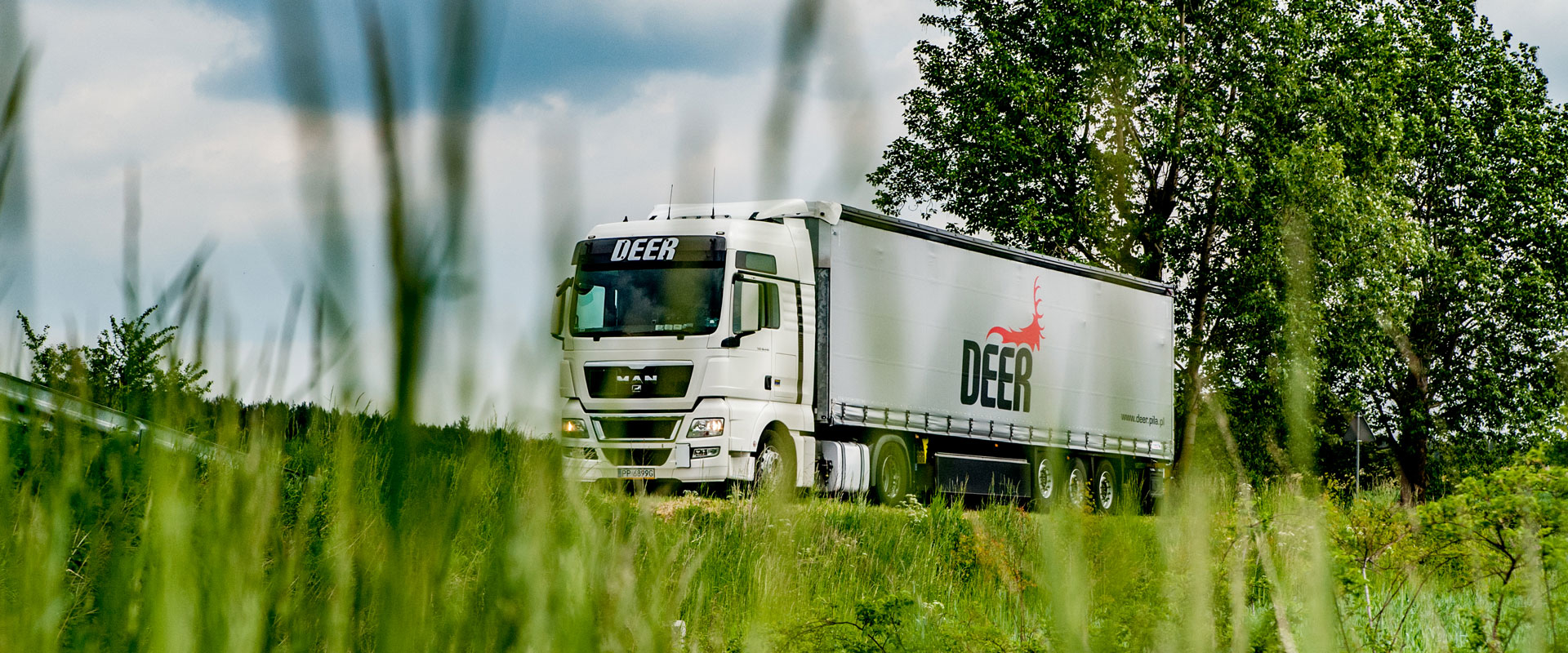 Deer - Transport, Spedycja, Logistyka