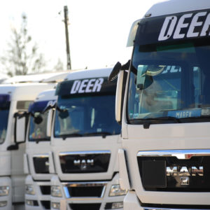 Deer - Transport, Spedycja, Logistyka