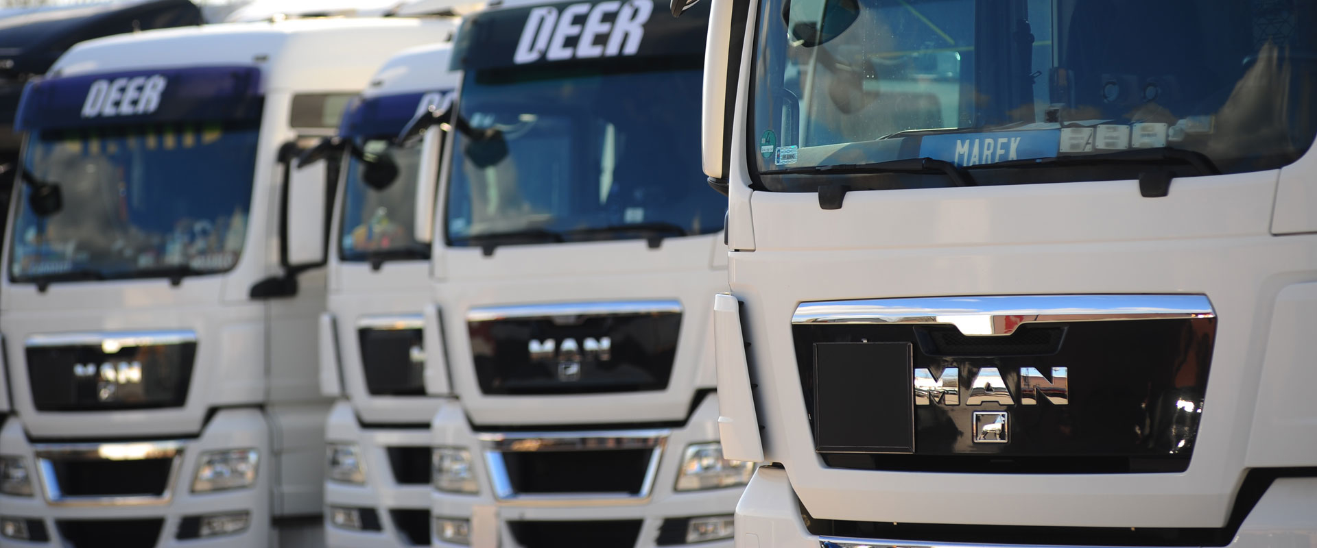 Deer - Transport, Spedycja, Logistyka